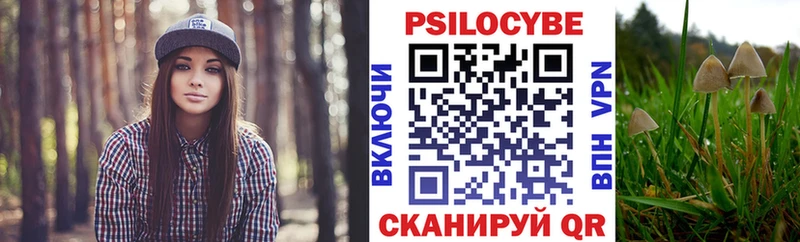 Псилоцибиновые грибы прущие грибы Ефремов